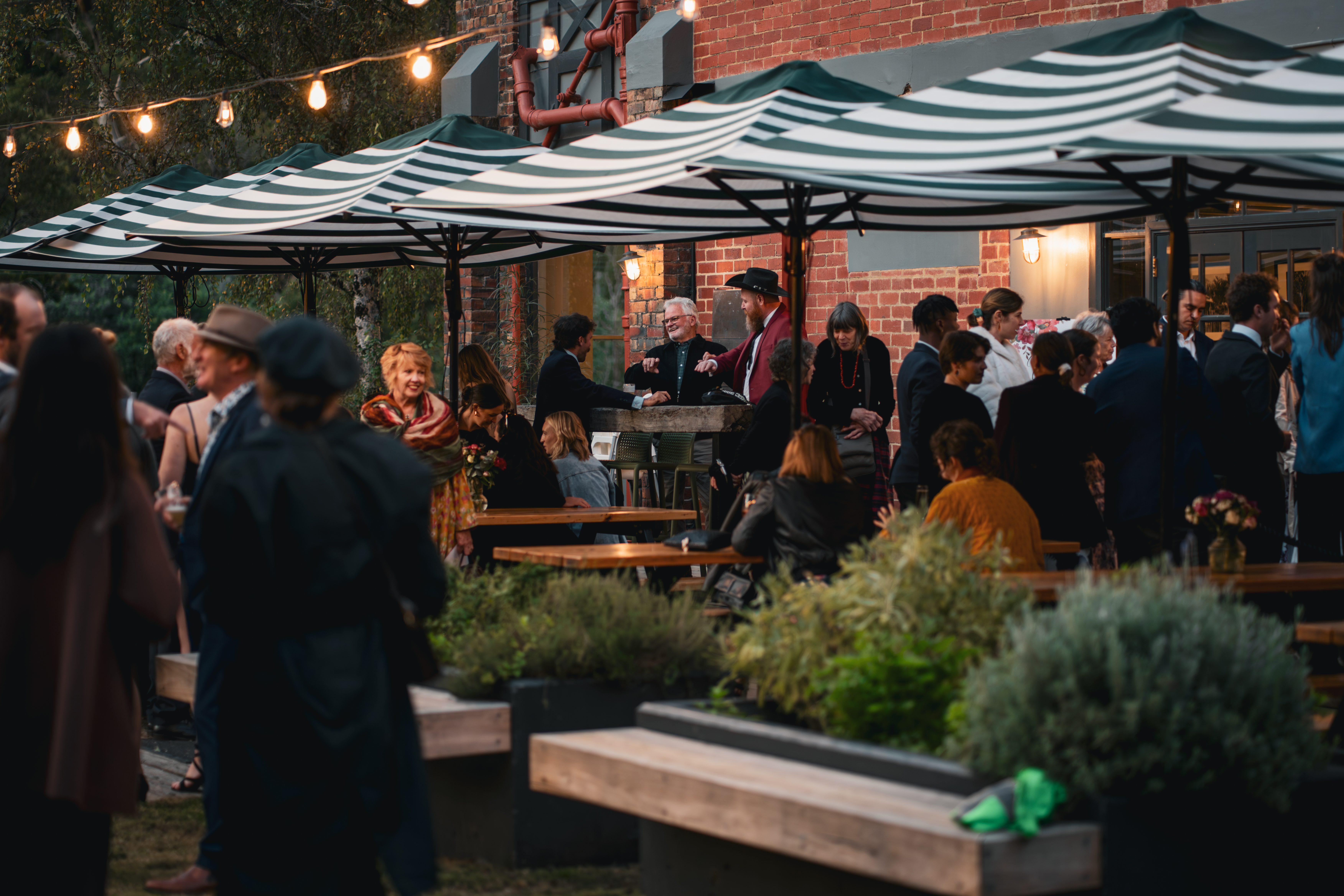 Courtyard Website 2.jpg